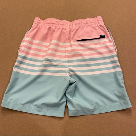 Chubbies The On The Horizons Mesh Brief Lined Swim Trunks Size Small - Picture 5 of 10